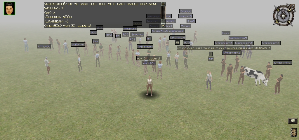 a dsmmorpg screenshot